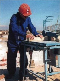NOTAS TECNICAS de PREVENCION INSHT NTP (450)